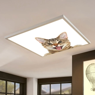 Dětské LED stropní svítidlo ORTUS - motiv kočka